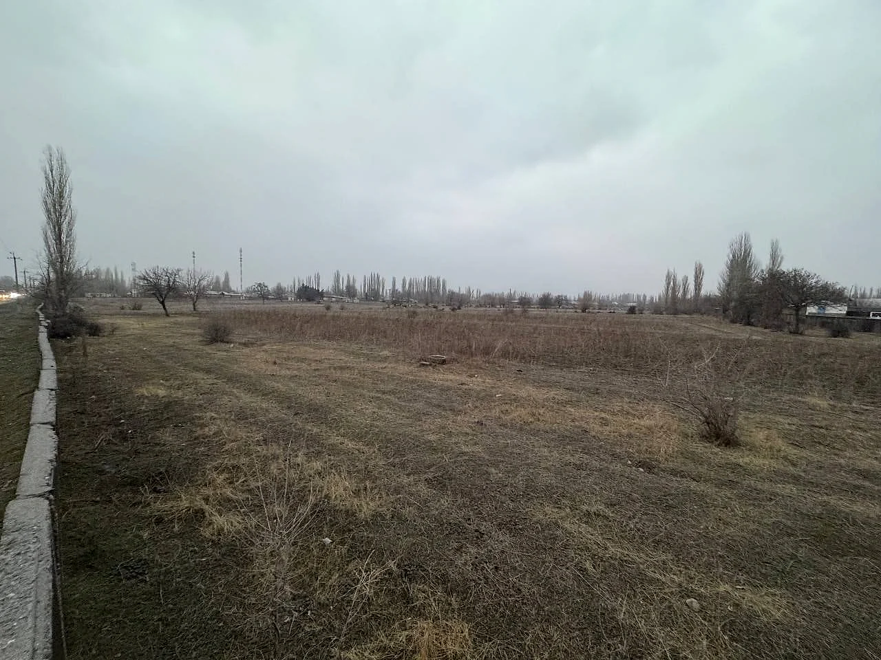 Продажа земельного участка в oblast-tashkent районе — Таможенный склад, фотография 1