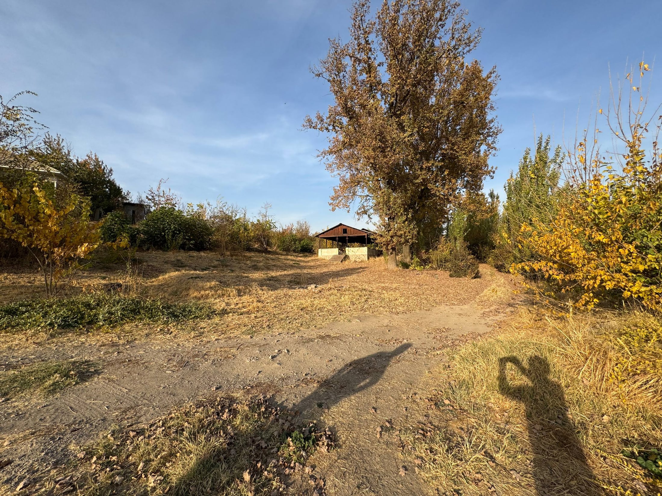 Продажа земельного участка в oblast-parkent районе — Красногорск, фотография 3